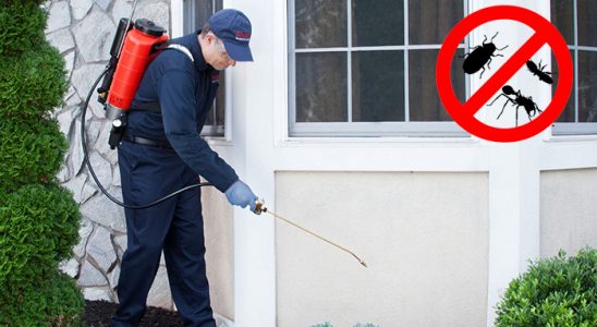 Muratlı Fare İlaçlama böcek ilaçlama ve haşere kontrolü — ilaclama-tr.com